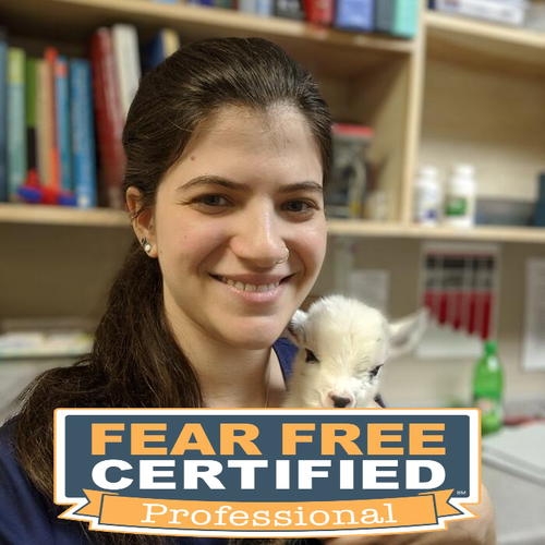 Dr. Claire Greenbaum