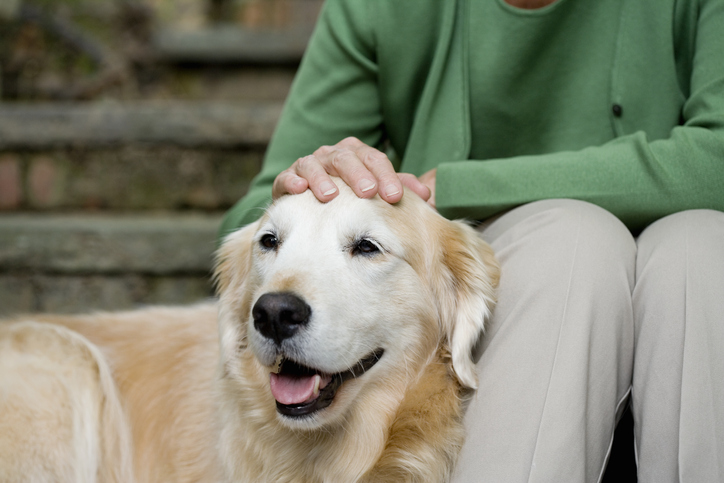 End of Life Care