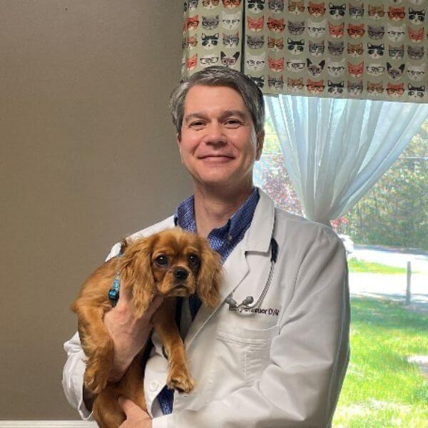 Dr. Harry Braeuer Dr. Harry Braeuer